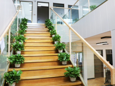 1625797982732625.jpg IMG_2048.jpg